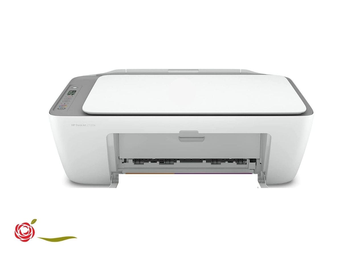 ayme rosas patrones tienda