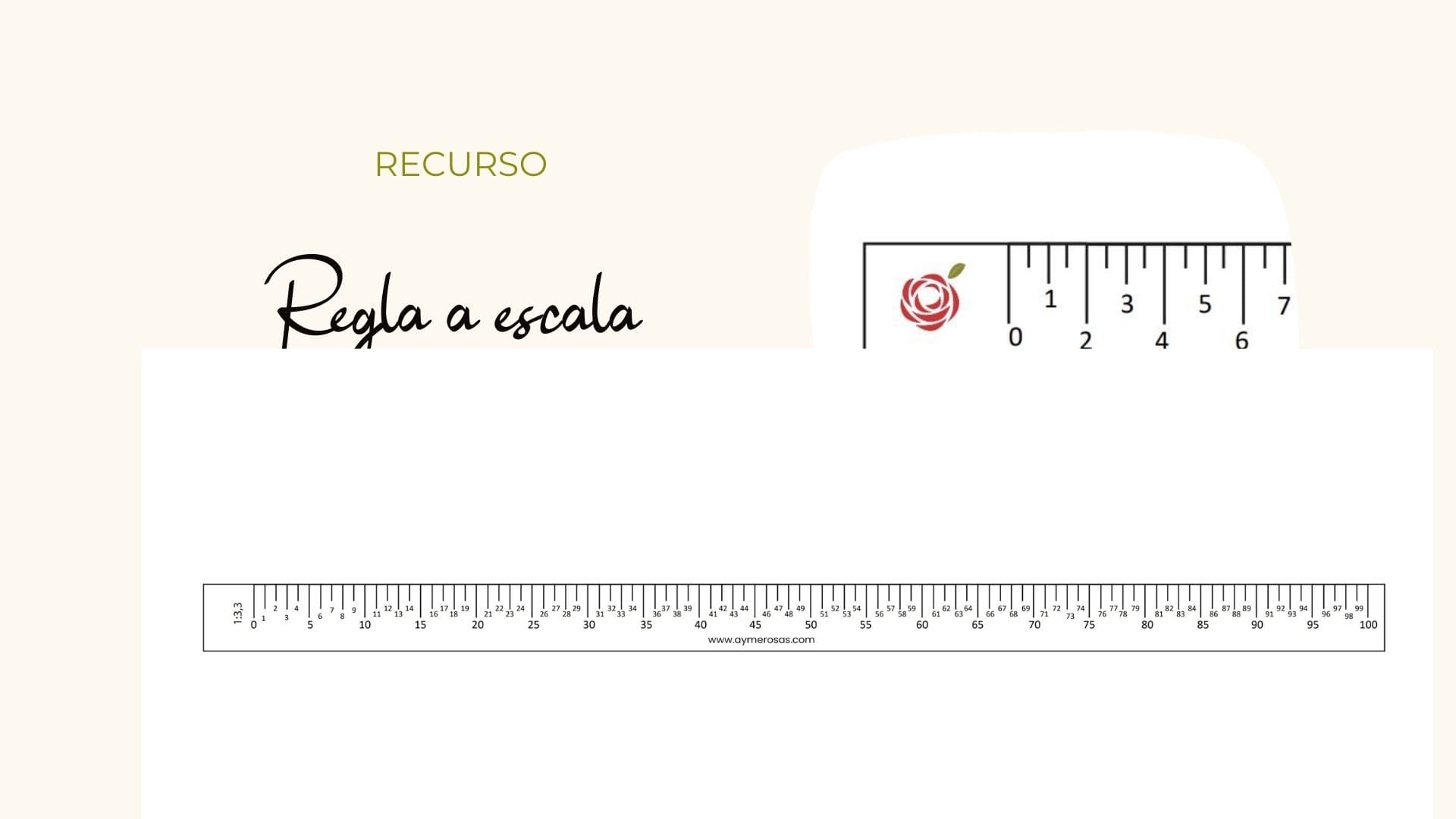 ayme rosas patrones tienda